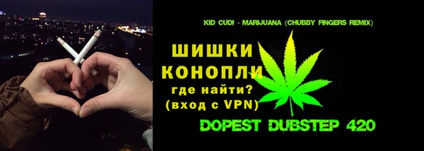 PSILOCYBIN Баксан