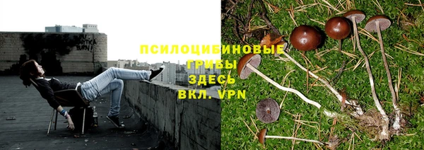 хмурый Балахна