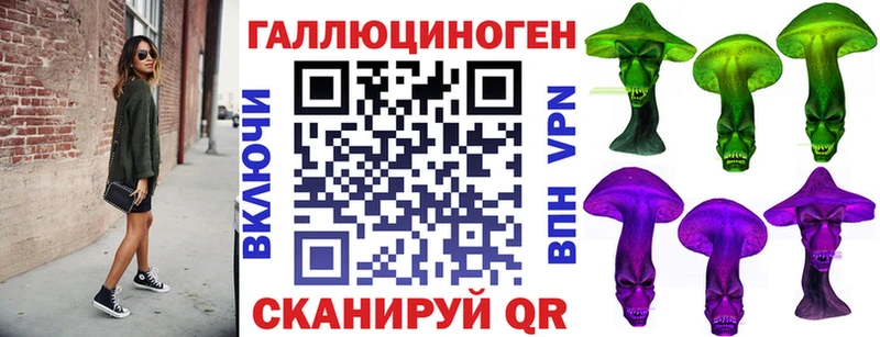 Купить где  Демидов  Псилоцибиновые грибы Psilocybine cubensis 