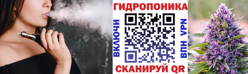 Купить где  Демидов  Шишки марихуана ГИДРОПОН 